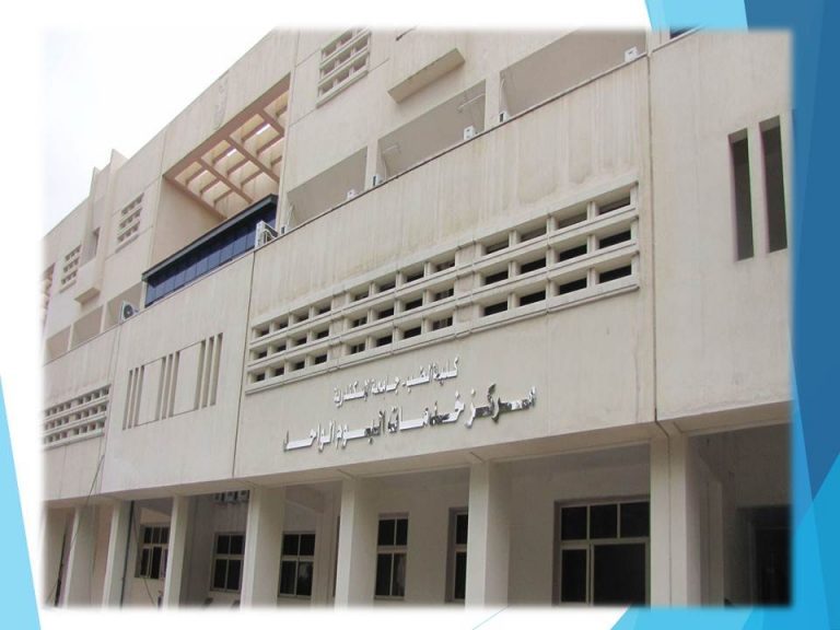 center of one day service