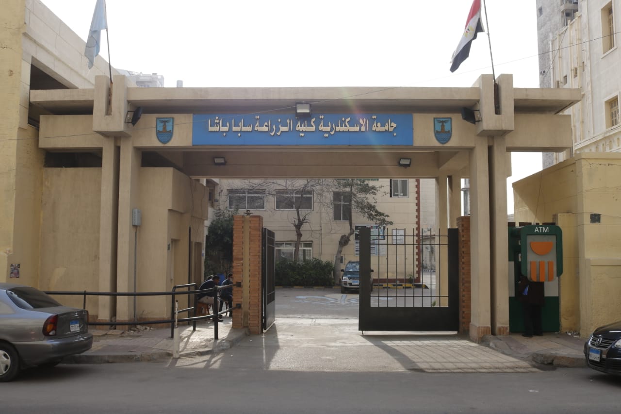 saba basha 1